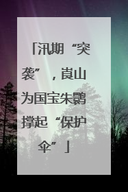 汛期“突袭”，崀山为国宝朱鹮撑起“保护伞”