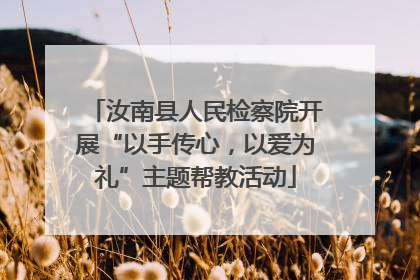汝南县人民检察院开展“以手传心，以爱为礼”主题帮教活动