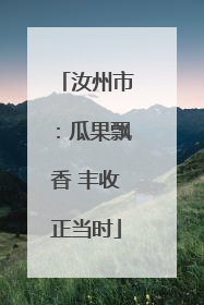 汝州市：瓜果飘香 丰收正当时