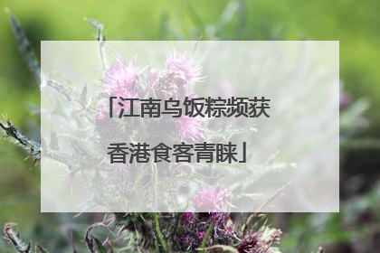 江南乌饭粽频获香港食客青睐