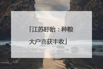 江苏盱眙：种粮大户喜获丰收