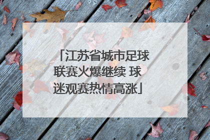 江苏省城市足球联赛火爆继续 球迷观赛热情高涨