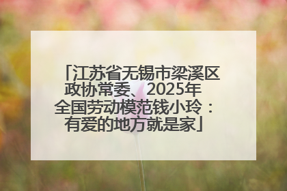 江苏省无锡市梁溪区政协常委、2025年全国劳动模范钱小玲：有爱的地方就是家