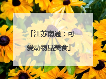 江苏南通：可爱动物品美食