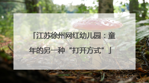 江苏徐州网红幼儿园：童年的另一种“打开方式”