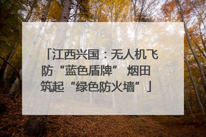 江西兴国：无人机飞防“蓝色盾牌” 烟田筑起“绿色防火墙”