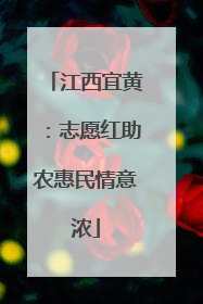 江西宜黄：志愿红助农惠民情意浓
