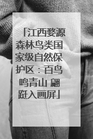 江西婺源森林鸟类国家级自然保护区：百鸟鸣青山 翩跹入画屏