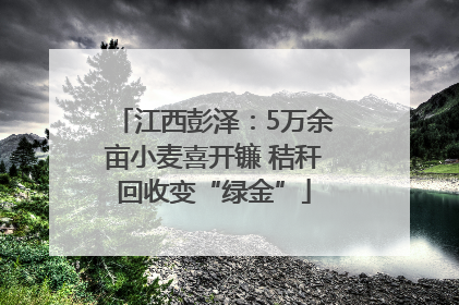 江西彭泽：5万余亩小麦喜开镰 秸秆回收变“绿金”