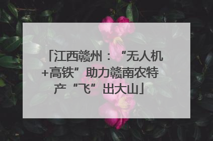 江西赣州：“无人机+高铁”助力赣南农特产“飞”出大山
