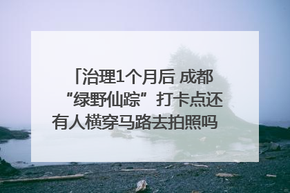 治理1个月后 成都“绿野仙踪”打卡点还有人横穿马路去拍照吗？｜民情瞭望