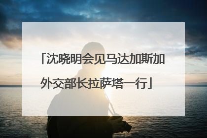 沈晓明会见马达加斯加外交部长拉萨塔一行