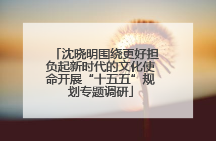 沈晓明围绕更好担负起新时代的文化使命开展“十五五”规划专题调研