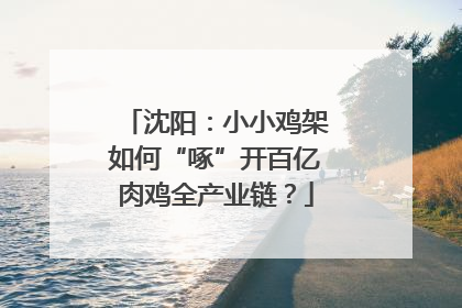 沈阳：小小鸡架如何“啄”开百亿肉鸡全产业链？