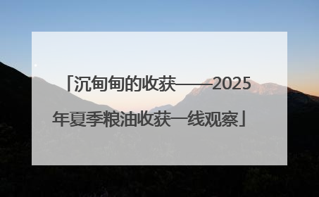 沉甸甸的收获——2025年夏季粮油收获一线观察
