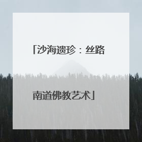 沙海遗珍：丝路南道佛教艺术