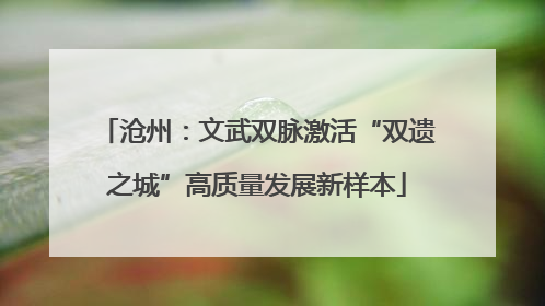 沧州：文武双脉激活“双遗之城”高质量发展新样本