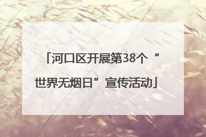 河口区开展第38个“世界无烟日”宣传活动
