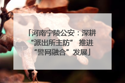 河南宁陵公安：深耕“派出所主防” 推进“警网融合”发展