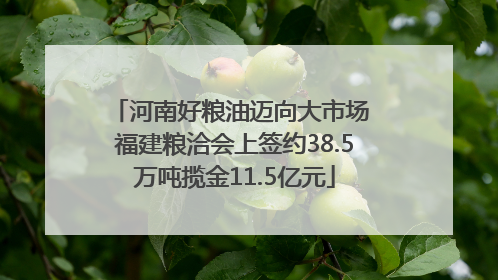 河南好粮油迈向大市场 福建粮洽会上签约38.5万吨揽金11.5亿元