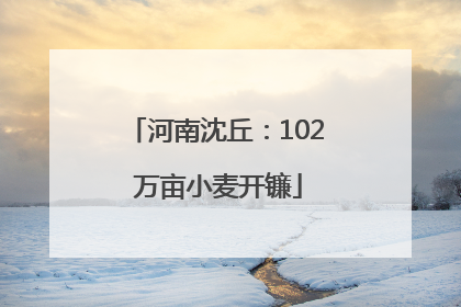 河南沈丘：102 万亩小麦开镰