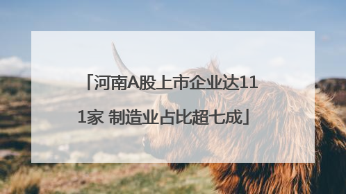 河南A股上市企业达111家 制造业占比超七成