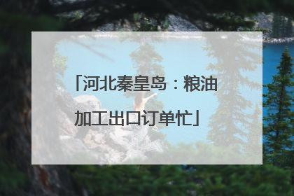 河北秦皇岛：粮油加工出口订单忙