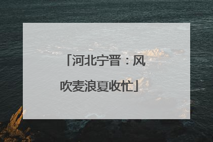 河北宁晋：风吹麦浪夏收忙