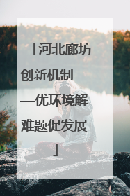 河北廊坊创新机制——优环境解难题促发展