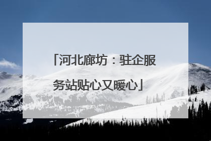 河北廊坊：驻企服务站贴心又暖心