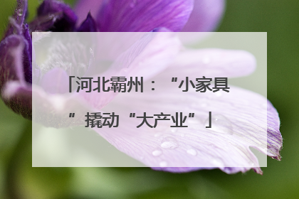 河北霸州：“小家具”撬动“大产业”