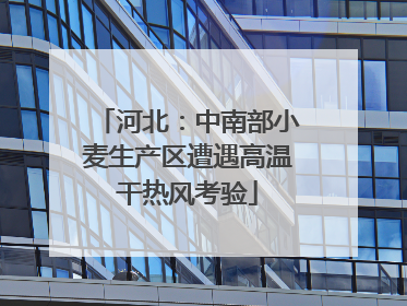 河北：中南部小麦生产区遭遇高温干热风考验
