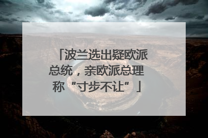 波兰选出疑欧派总统，亲欧派总理称“寸步不让”