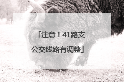 注意！41路支公交线路有调整