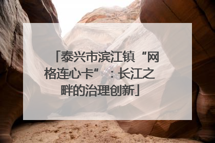 泰兴市滨江镇“网格连心卡”：长江之畔的治理创新