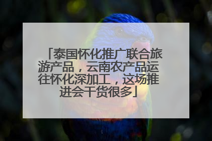 泰国怀化推广联合旅游产品，云南农产品运往怀化深加工，这场推进会干货很多