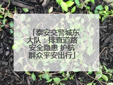 泰安交警城东大队：排查道路安全隐患 护航群众平安出行