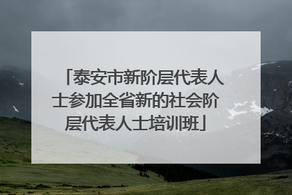 泰安市新阶层代表人士参加全省新的社会阶层代表人士培训班