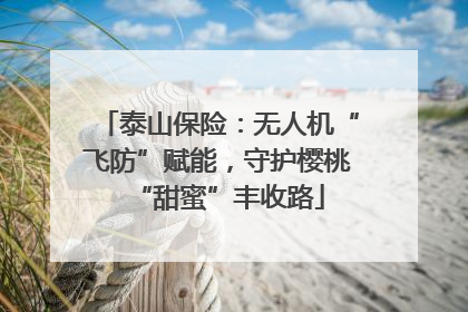 泰山保险：无人机“飞防”赋能，守护樱桃“甜蜜”丰收路