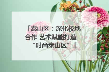 泰山区：深化校地合作 艺术赋能打造“时尚泰山区”