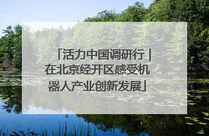 活力中国调研行｜在北京经开区感受机器人产业创新发展