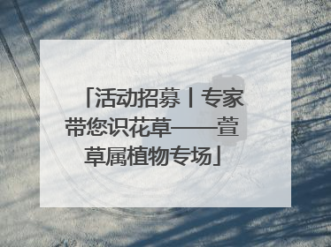 活动招募丨专家带您识花草——萱草属植物专场