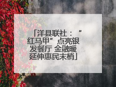 洋县联社：“红马甲”点亮银发餐厅 金融暖延伸惠民末梢