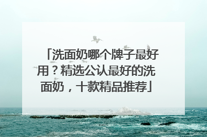洗面奶哪个牌子最好用？精选公认最好的洗面奶，十款精品推荐