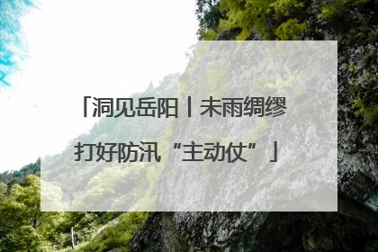 洞见岳阳丨未雨绸缪 打好防汛“主动仗”
