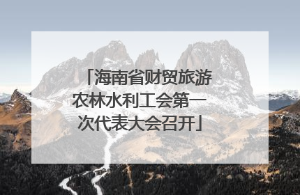 海南省财贸旅游农林水利工会第一次代表大会召开