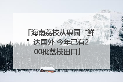 海南荔枝从果园“鲜”达国外 今年已有200批荔枝出口