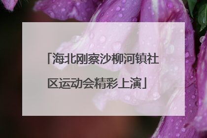 海北刚察沙柳河镇社区运动会精彩上演