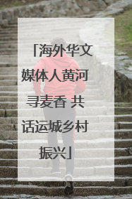 海外华文媒体人黄河寻麦香 共话运城乡村振兴