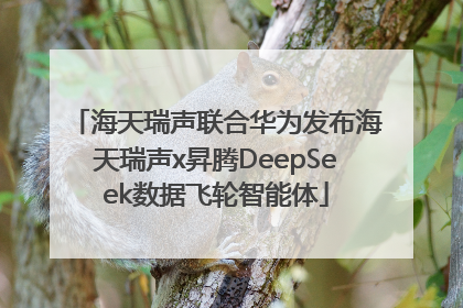 海天瑞声联合华为发布海天瑞声x昇腾DeepSeek数据飞轮智能体